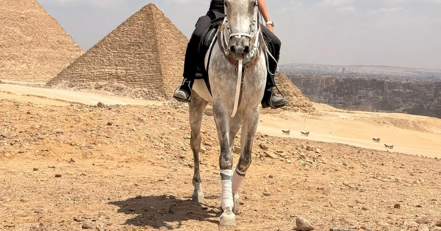 Ein Reiter auf einem Schimmel auf dem sandigen Plateau, dahinter die Pyramiden von Gizeh